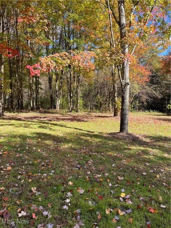 5644 Hurlburt Rd, Rome, OH 44085 - photo 31