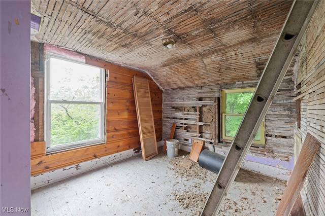 17092 Munn Rd, Chagrin Falls, OH 44023 - photo 13