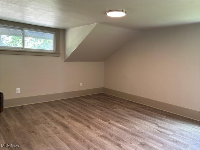 26 E Satin St, Jefferson, OH 44047 - additional living space with wood finished floors and vaulted ceiling