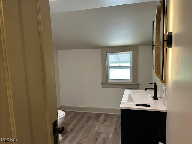 26 E Satin St, Jefferson, OH 44047 - bathroom with vanity, wood finished floors, and vaulted ceiling