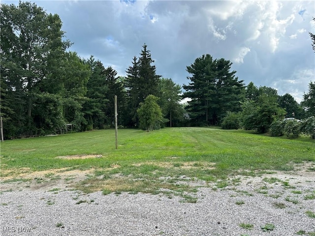 26 E Satin St, Jefferson, OH 44047 - view of grassy yard featuring a view of trees