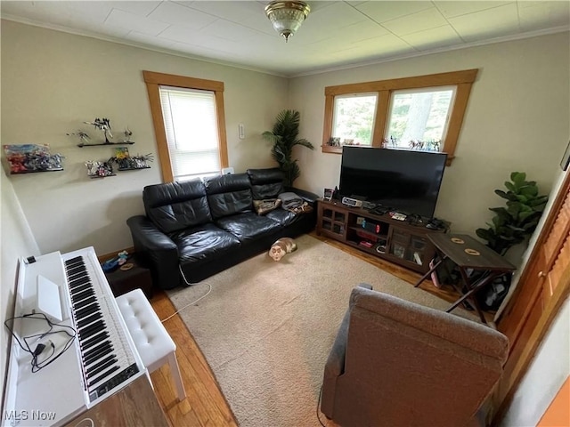 717 Calla Rd E, Poland, OH 44514 - living room with healthy amount of natural light, crown molding, and wood finished floors