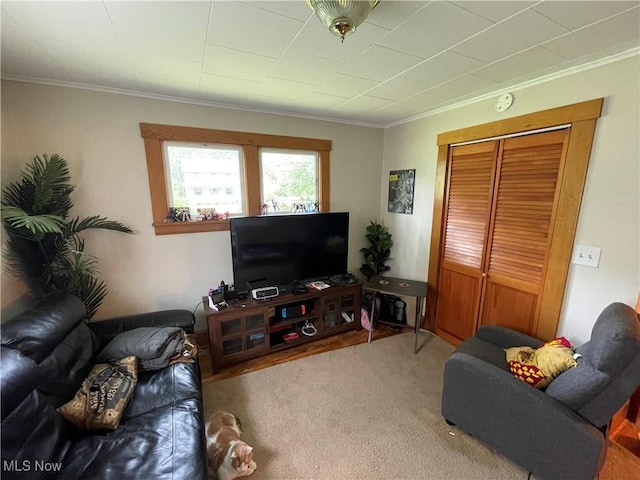 717 Calla Rd E, Poland, OH 44514 - carpeted living room with crown molding