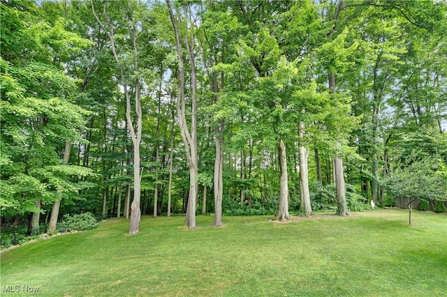 4760 Treeline Trl, New Middletown, OH 44442 - photo 48