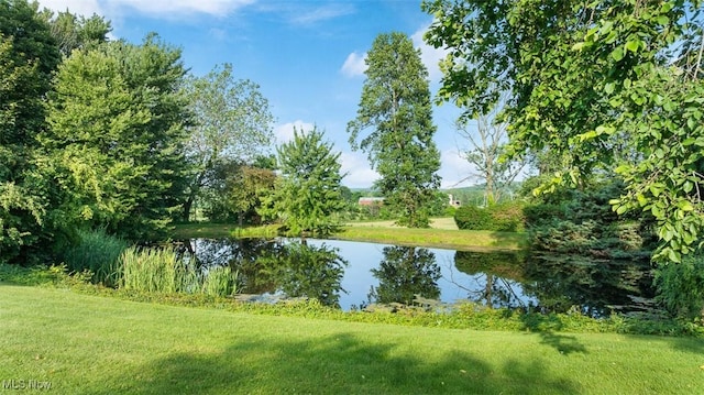 14091 Stoneford St SW, Navarre, OH 44662 - photo 20