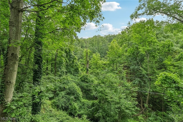 2331 Woodpark Rd, Fairlawn, OH 44333 - view of woods
