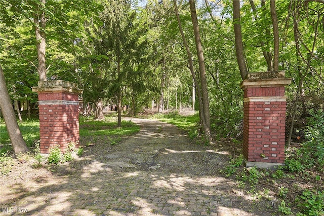74 Maplewood Ave, Akron, OH 44313 - view of decorative driveway