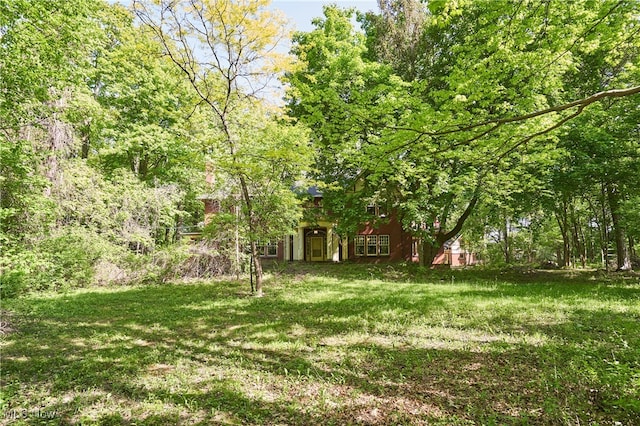 74 Maplewood Ave, Akron, OH 44313 - view of green lawn