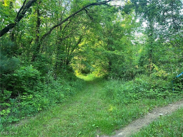 Mcafee Rd, Wooster, OH 44691 - photo 1