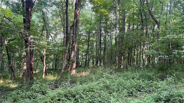 Mcafee Rd, Wooster, OH 44691 - photo 2