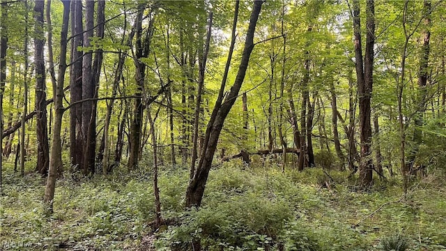 Mcafee Rd, Wooster, OH 44691 - photo 3