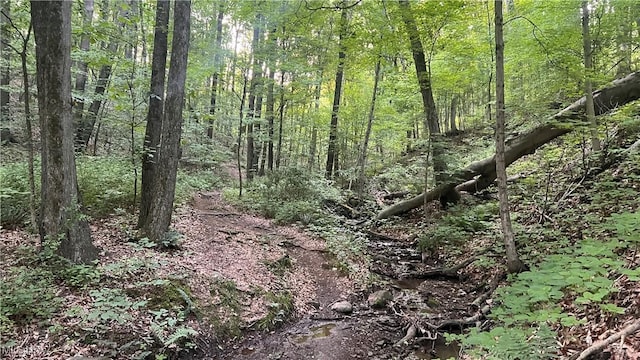 Mcafee Rd, Wooster, OH 44691 - photo 4