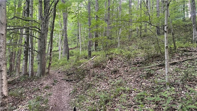 Mcafee Rd, Wooster, OH 44691 - photo 5