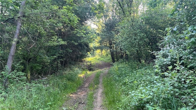 Mcafee Rd, Wooster, OH 44691 - photo 6