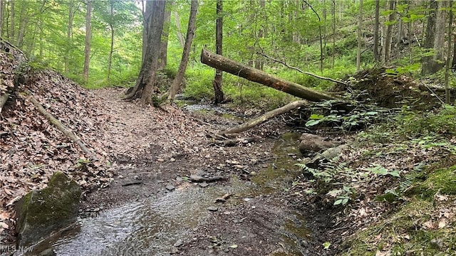 Mcafee Rd, Wooster, OH 44691 - photo 7