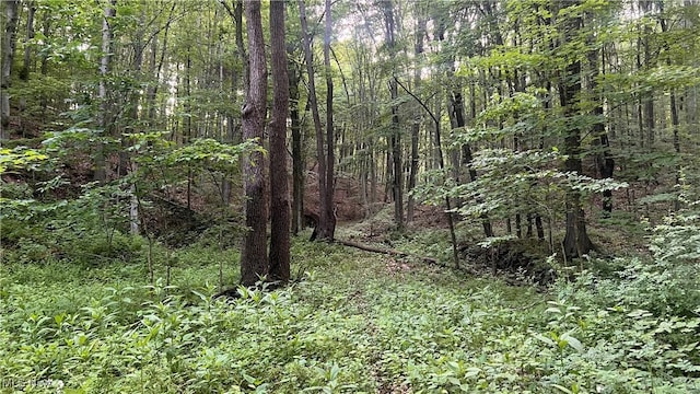 Mcafee Rd, Wooster, OH 44691 - photo 8
