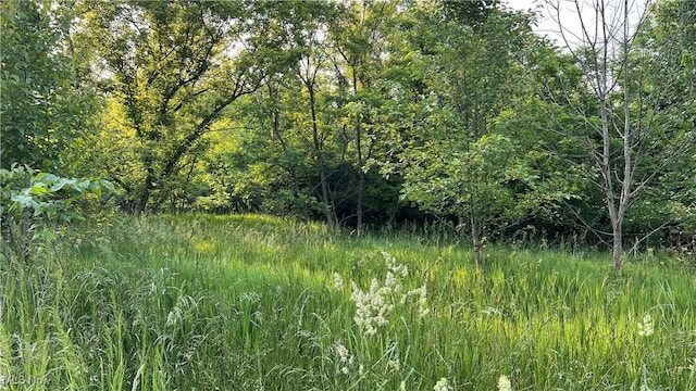 Mcafee Rd, Wooster, OH 44691 - photo 9