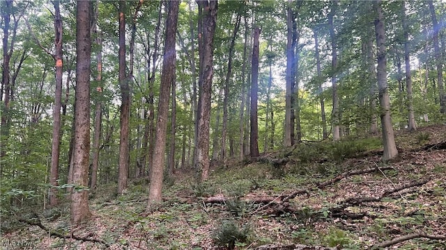 Mcafee Rd, Wooster, OH 44691 - photo 10