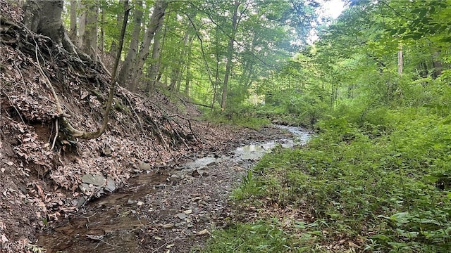 Mcafee Rd, Wooster, OH 44691 - photo 11