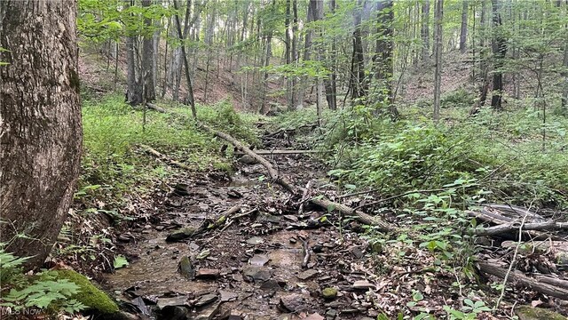 Mcafee Rd, Wooster, OH 44691 - photo 12