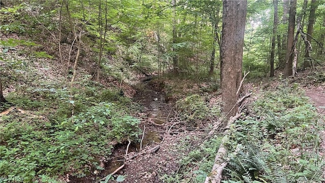 Mcafee Rd, Wooster, OH 44691 - photo 13
