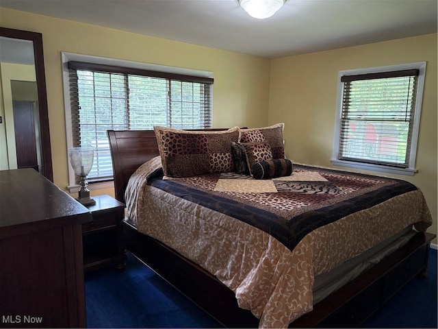 9237 Shephard Rd, Macedonia, OH 44056 - bedroom with multiple windows and carpet floors