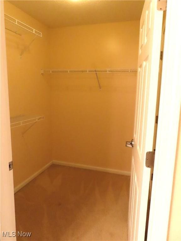 723 Whisper Creek Ln, Lodi, OH 44254 - spacious closet with carpet flooring