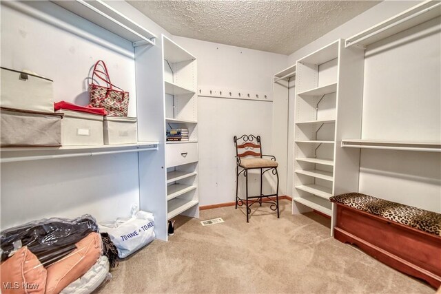 9798 Firestone Ln, Macedonia, OH 44056 - walk in closet featuring carpet