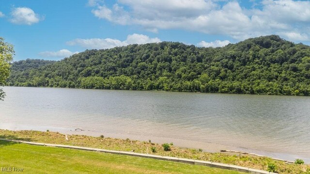 390 Powell Riverfront Rd, Saint Marys, WV 26170 - water view featuring a heavily wooded area