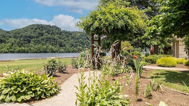 390 Powell Riverfront Rd, Saint Marys, WV 26170 - view of yard featuring a forest view and a water view