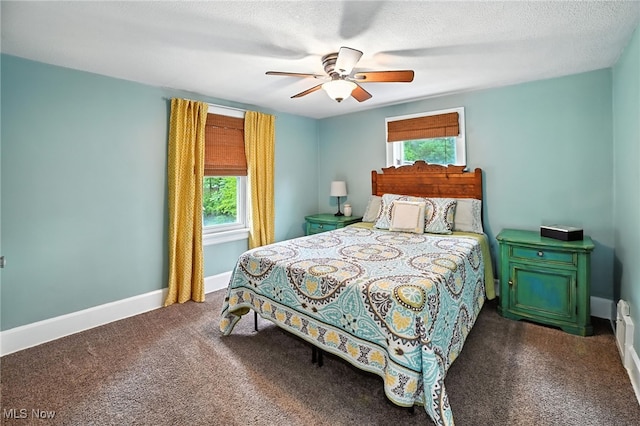 2107 13th St, Cuyahoga Falls, OH 44223 - bedroom with dark carpet and ceiling fan