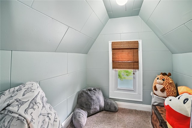 2107 13th St, Cuyahoga Falls, OH 44223 - bedroom featuring vaulted ceiling and carpet flooring