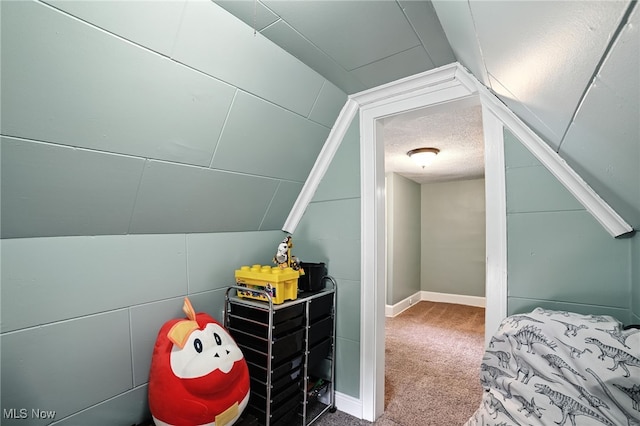 2107 13th St, Cuyahoga Falls, OH 44223 - bonus room with lofted ceiling and carpet flooring