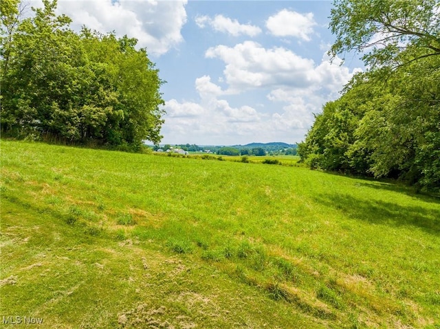 6248 Massillon Rd SW, Navarre, OH 44662 - view of yard featuring a view of rural / pastoral area