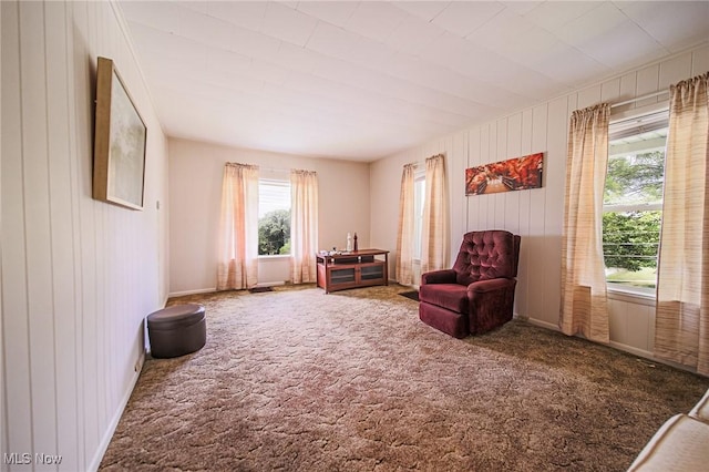 6248 Massillon Rd SW, Navarre, OH 44662 - sitting room with plenty of natural light, carpet flooring, and wooden walls