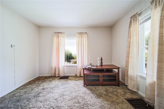 6248 Massillon Rd SW, Navarre, OH 44662 - carpeted home office featuring plenty of natural light