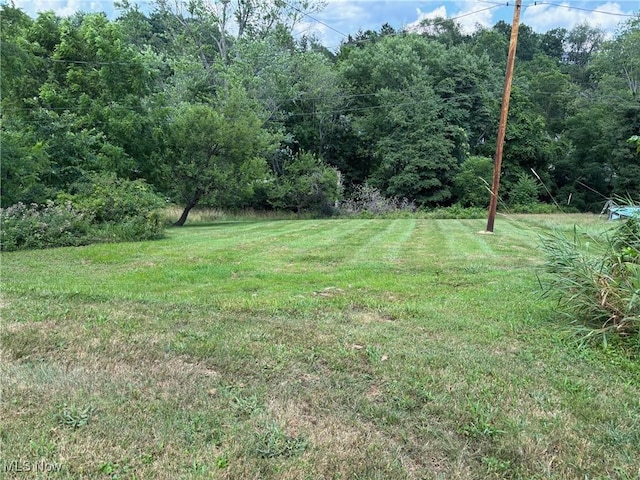 748 Belleview Rd, Cambridge, OH 43725 - view of green lawn featuring a wooded view