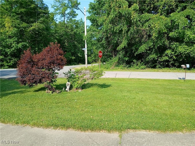 1403 Dorchester Dr, Madison, OH 44057 - view of grassy yard