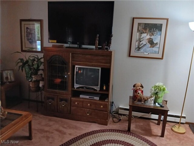 1403 Dorchester Dr, Madison, OH 44057 - living area featuring carpet floors and baseboard heating
