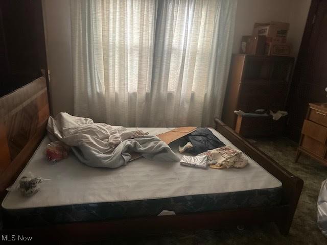 195 Water St, Wadsworth, OH 44281 - bedroom with carpet