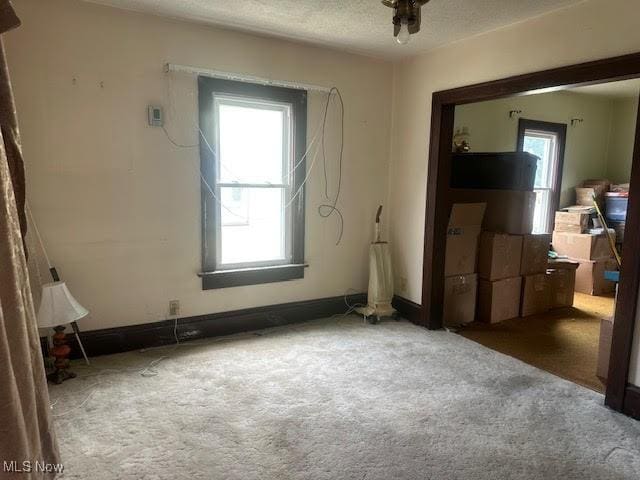 195 Water St, Wadsworth, OH 44281 - unfurnished bedroom with multiple windows and carpet flooring