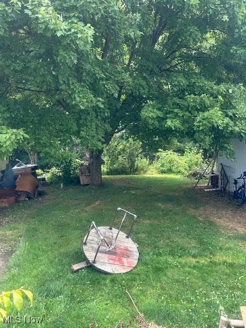 195 Water St, Wadsworth, OH 44281 - view of green lawn