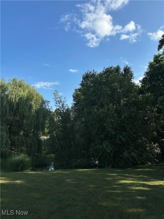 1314 Wellingshire Cir, Cuyahoga Falls, OH 44221 - view of green lawn
