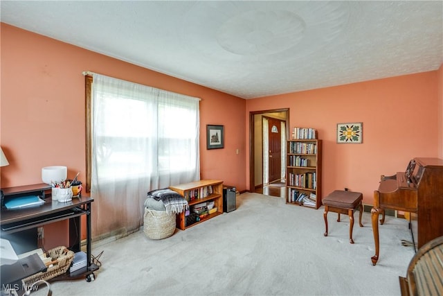 10154 Carlswood Ave NE, Hartville, OH 44632 - living area with carpet flooring and a desk