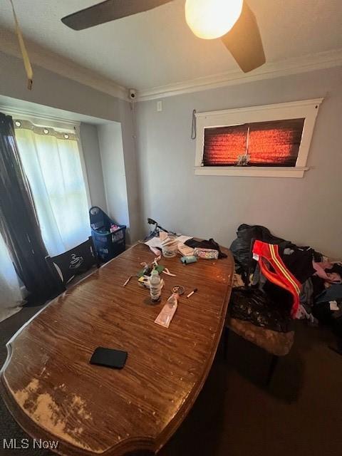1510 E 174th St, Cleveland, OH 44110 - photo 9