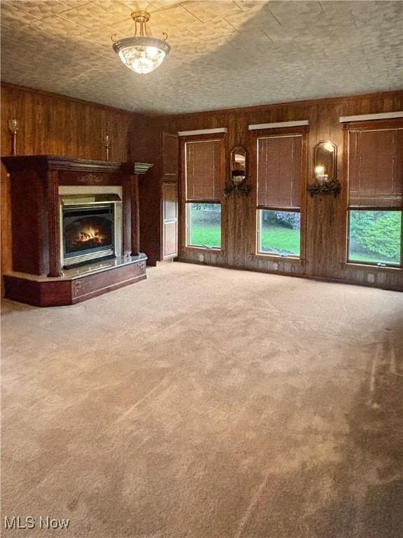507 Harker Ave, Newell, WV 26050 - unfurnished living room featuring wooden walls, carpet flooring, and a glass covered fireplace
