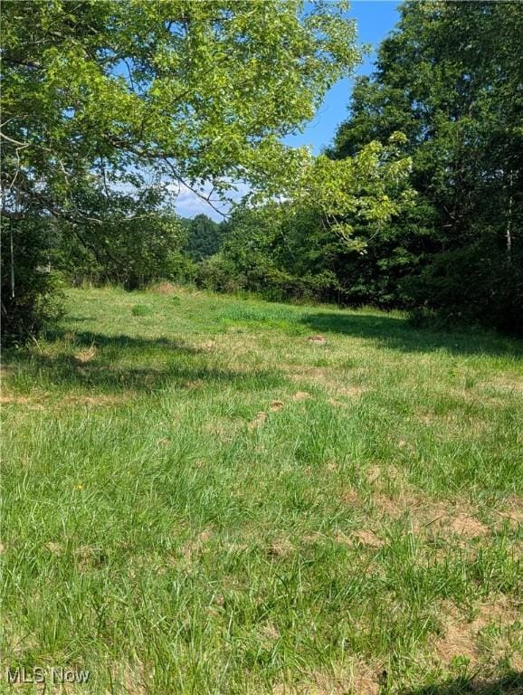 1502 State Route 183, Atwater, OH 44201 - photo 12
