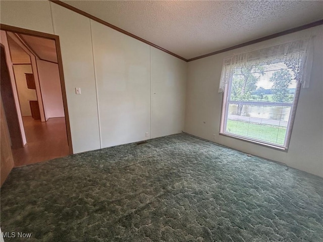 355 Muskingum River Rd, Marietta, OH 45750 - unfurnished room with crown molding, a textured ceiling, and lofted ceiling