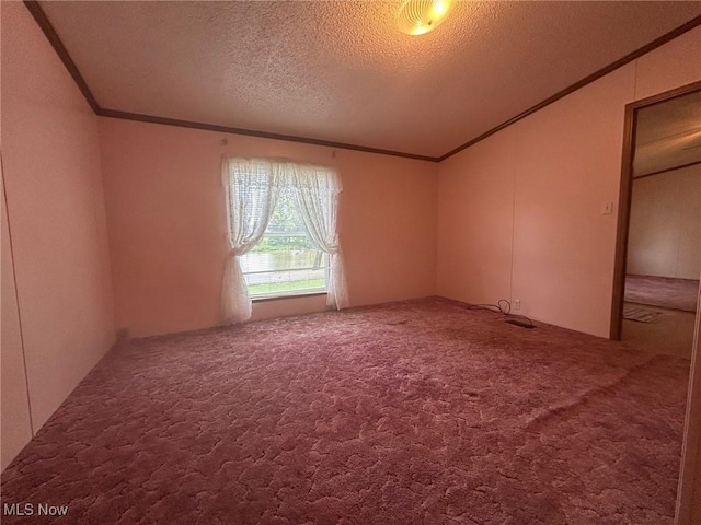 355 Muskingum River Rd, Marietta, OH 45750 - spare room with crown molding, lofted ceiling, carpet floors, and a textured ceiling