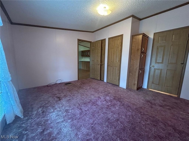 355 Muskingum River Rd, Marietta, OH 45750 - unfurnished bedroom featuring ornamental molding, multiple closets, carpet flooring, and a textured ceiling
